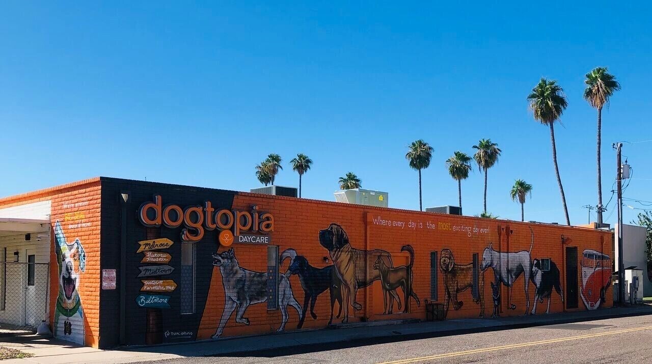 6148 N. 7th Street — Dogtopia